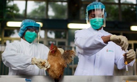 全球關(guān)注下的H7N9疫情動(dòng)態(tài)與防控措施