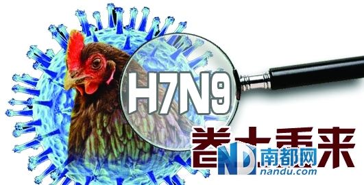 最新h7n9疫情,最新H7N9疫情，全球關(guān)注與防控措施